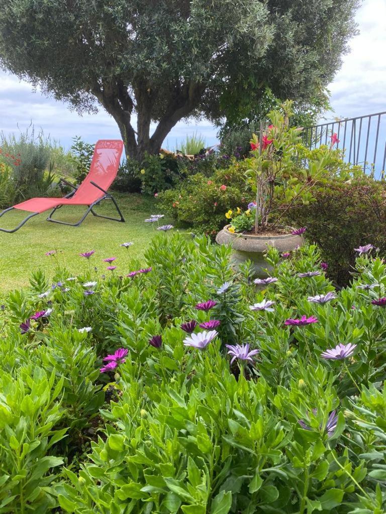 Villa Casa de Prazeres Esterno foto